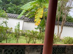 -广州神农草堂中医药博物馆