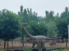 -北京鹿世界主题园