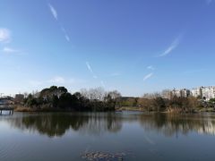 -新江湾城公园
