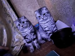 -家舍沐浴生活馆