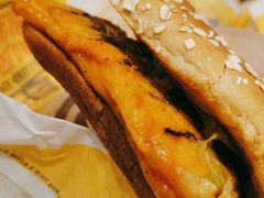 -汉堡王(宸悦路店)