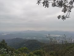 -广州市帽峰山景区