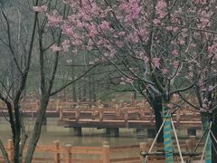 -凤凰沟景区