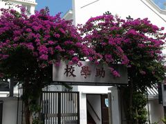 -大澳