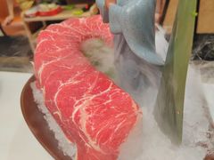 -洪氏嗨捞·猪肚鸡火锅(阳光天地店)