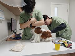 -达爱动物医院·犬猫分区·CT·复杂眼科(远洋山水分院)