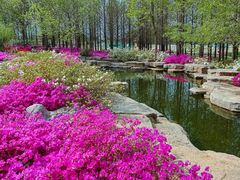 -羊亭河湿地公园