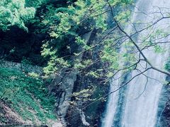 -陕西省红河谷森林公园
