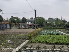 -洪湖家庭农场·团建·露营·会议