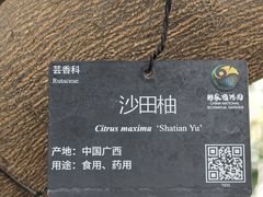 -国家植物园南园