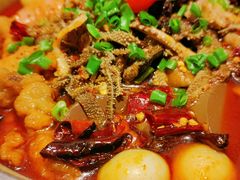 -眉州东坡·熊猫主题餐厅(枫蓝店)