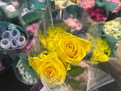 -循礼门鲜花花市(武汉循礼门店)