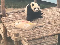 -大连森林动物园