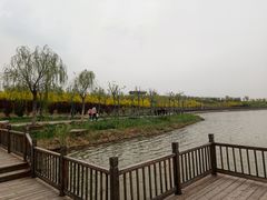 -天津东丽湖风景区