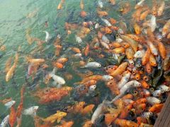 -云南民族大观园