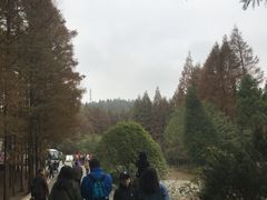 -山王坪喀斯特国家生态公园