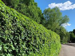 -黑龙江省森林植物园