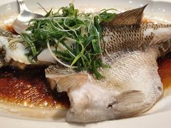 清蒸桂花鱼-广东胜利宾馆西关粤中餐厅
