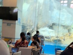 -帝企鹅自助餐厅•儿童岛•真企鹅(长隆企鹅酒店)