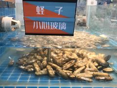 水产区-绿岛港轩海鲜烤肉涮锅自助餐厅