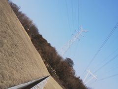 -佛手湖郊野公园