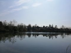 -桤木河湿地公园