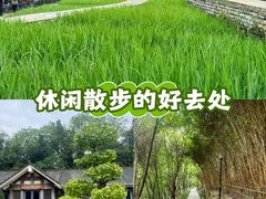 -龙头寺公园