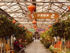 -南宫五洲植物乐园