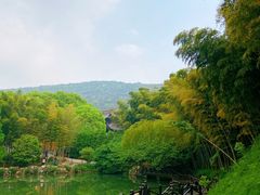 -宝岩生态观光园
