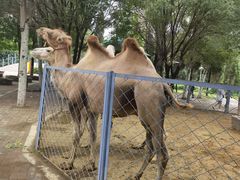 -长白岛森林公园