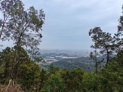 -滴水岩森林公园