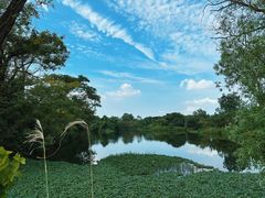 -西溪国家湿地公园