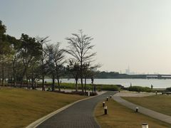 -深圳湾公园(南山区)
