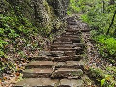-青城山