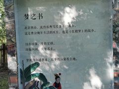 -红楼梦邮局