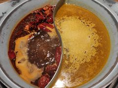 -青瓷火锅料理(西单大悦城店)