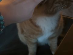 -CHURCH  BISTRO 教堂·餐吧