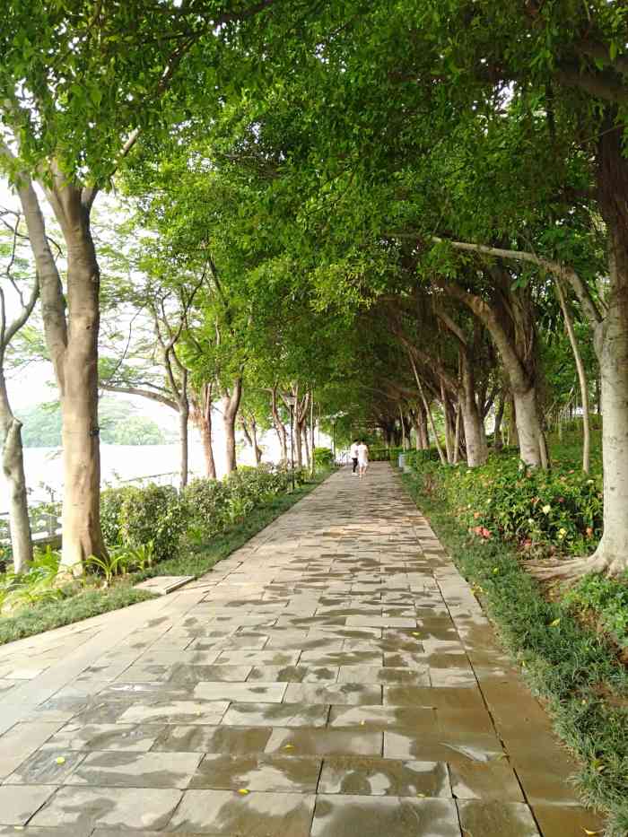 田寮公园-"[推荐理由]特别适合遛娃! 位置."-大众点评移动版