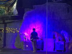 -清迈夜间动物园