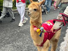 -杭州野生动物世界