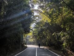 -孔雀湖生态旅游区