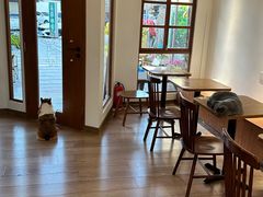 -有猫主题·治愈系猫咖(曾厝垵店)