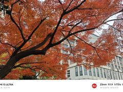 -浙江大学(玉泉校区)