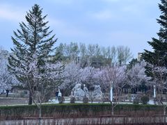 -吉林大学(前卫南区)