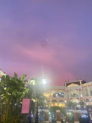 -奇幻丛林(佛罗伦萨小镇店)