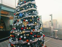 -Hi City·城市之巅