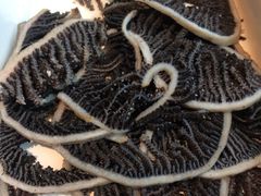 -海底捞火锅(长沙华创国际广场店)