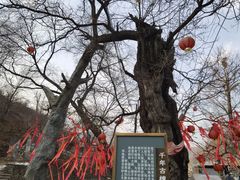 -水峪民俗村