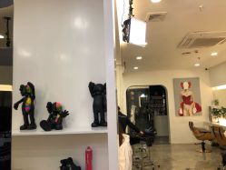 -SALON TV x ILCOLPO