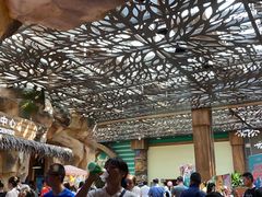 -杭州开元森泊度假乐园